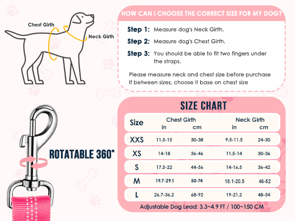 Walking Dog Harness and Leash Set