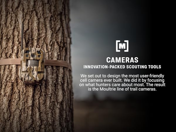 Moultrie trail camera on tree, showcasing durable scouting technology.