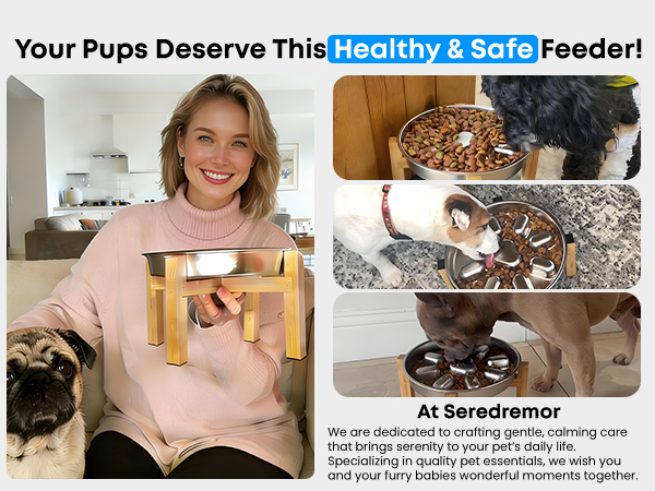 slow feeding dog bowl