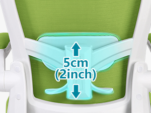 Dynamic Lumbar Support