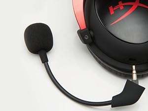 Digitally Enhanced Microphone