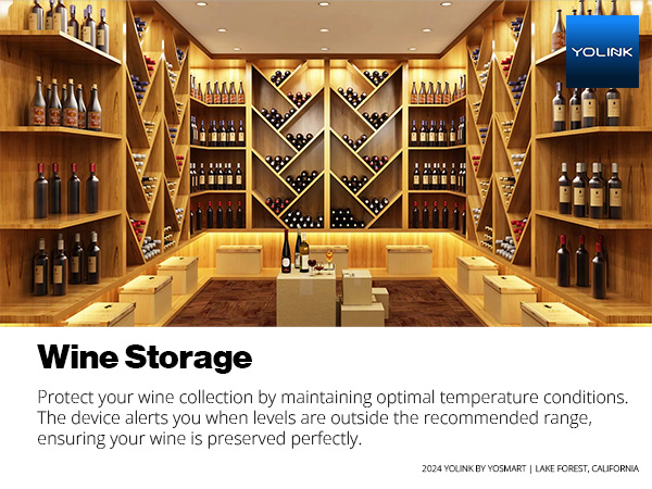 Wine Storage