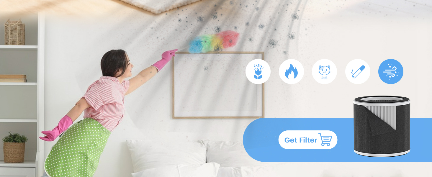 air purifier for dust