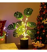Artificial LED Night Light, Realistic Fake Plant Tabletop Decor, for Womens Mom Wife Friends Her ...