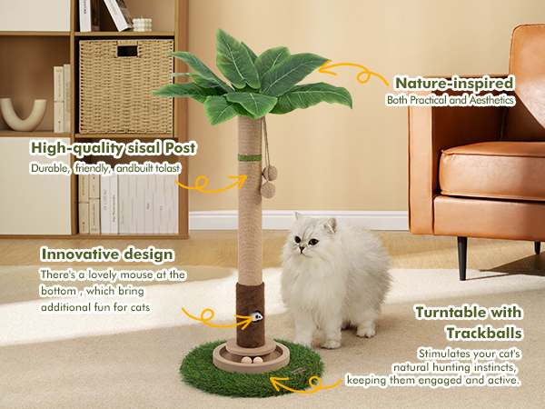 Scratching Posts for Indoor Cats 