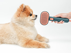 cat brush dog brush for shedding