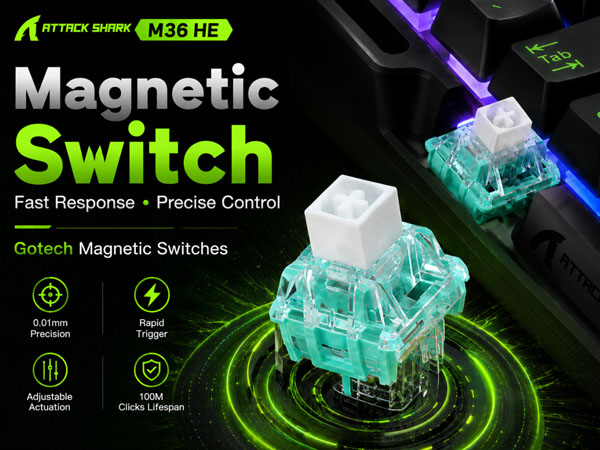 Magnetic Switch 