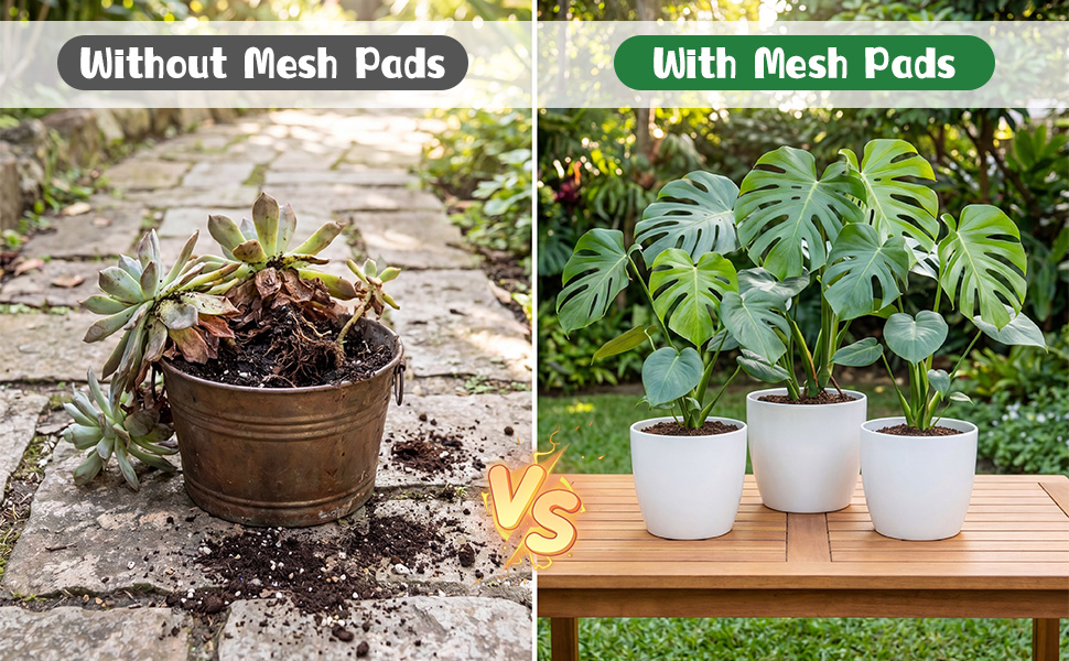 Plant Succulent Potting Mat