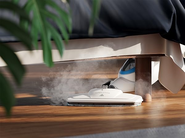 Reach Under Furniture