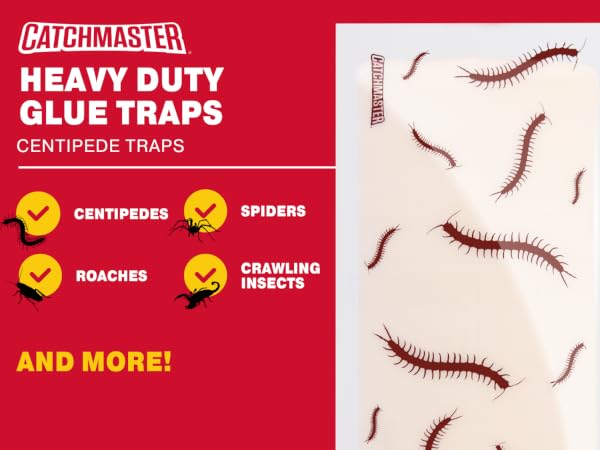 heavy duty centipede trap
