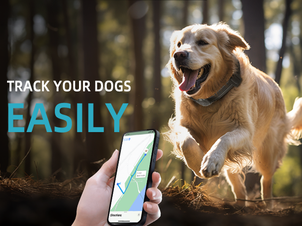 dog gps tracker