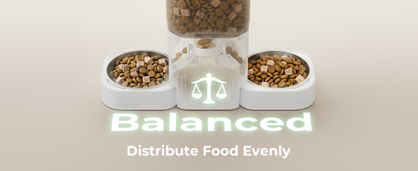 cat automatic feeder