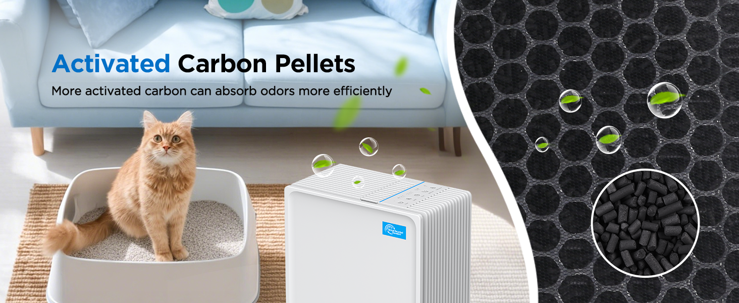 air purifiers for home