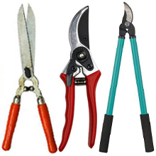 tool sharpener
