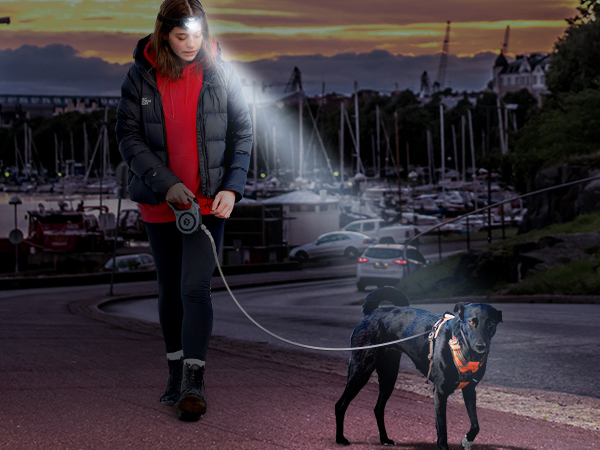 rechargeable headlamps for adults