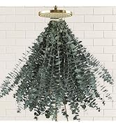 41 PCS Dried Preserved Eucalyptus Bundle for Shower-17'' Real Large Dried Eucalyptus Stems Shower...