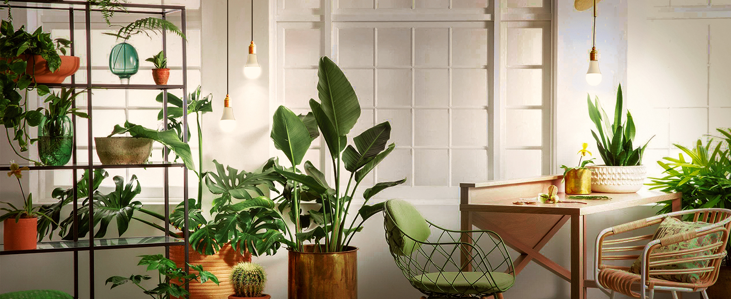 grow light bulb for indoor plants