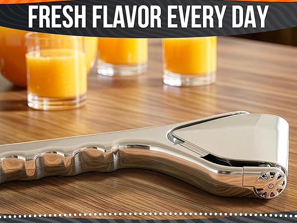 juice extractor machine fruit juice fruit press stainless steel lemon squeezer sprout maker