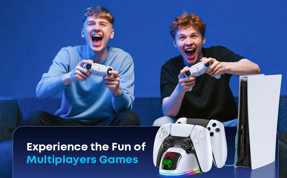 P5 Controller charger