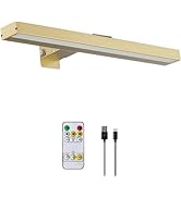 MIOBLUE Rechargeable Picture Lights with Remote, 16" Battery Operated Painting Light Display Lamp...