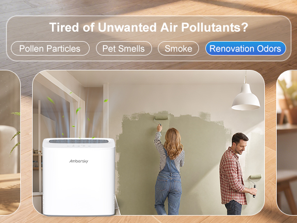 Renovation Odors Air Purifier