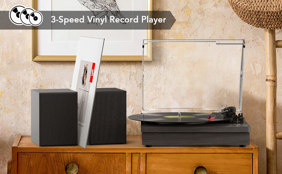 vinyl record player
