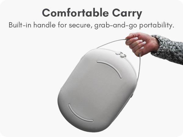 Vision Pro Case