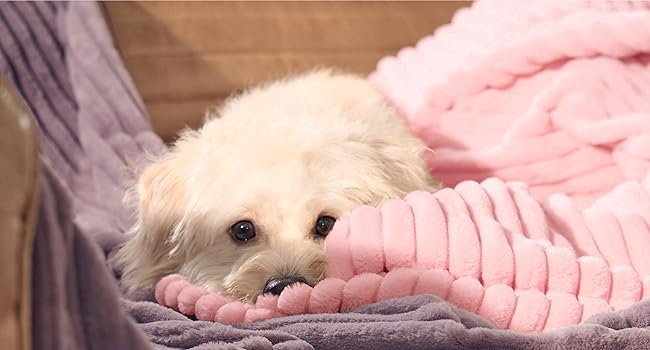heated throw blanket