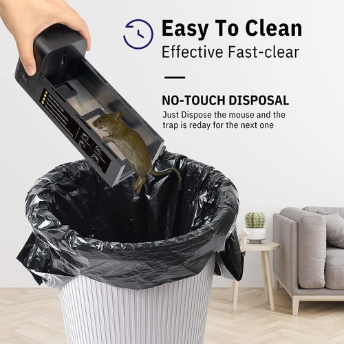https://i.ebayimg.com/00/s/MTUwMFgxNTAw/z/14cAAeSwOkZotUZJ/$_12.JPG?set_id=880000500F