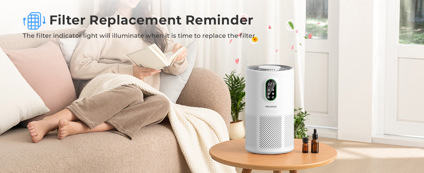 home air purifiers with filter replacement reminder