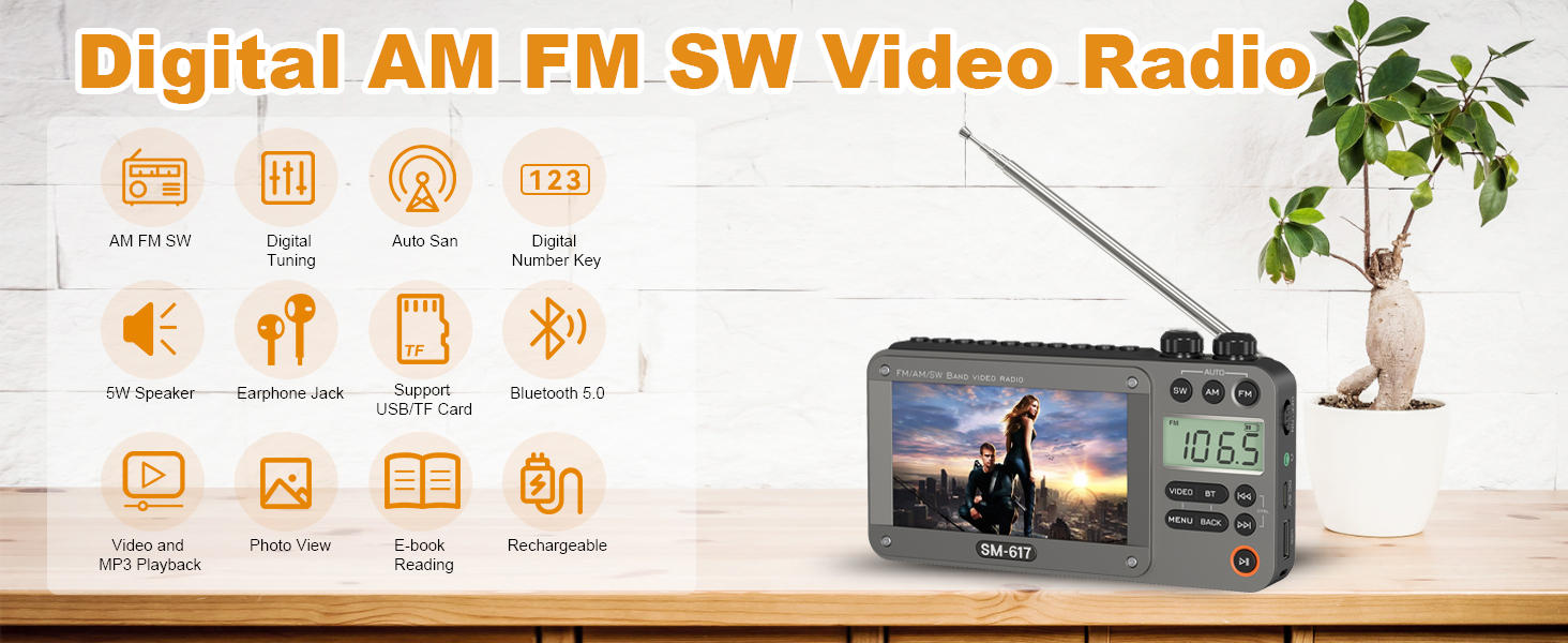 AM FM SW Video Radio