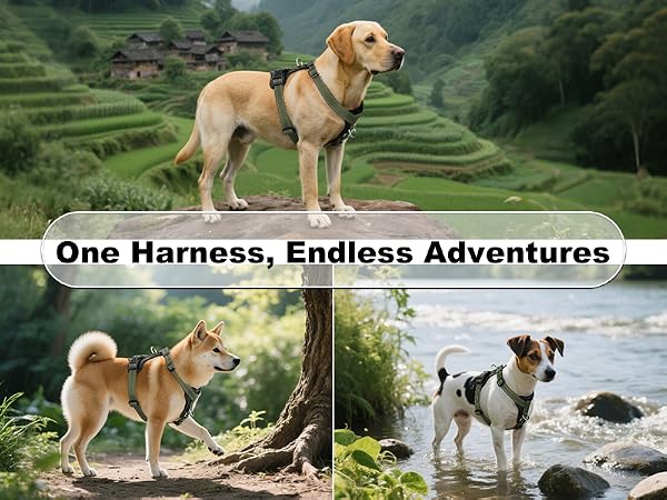 no eacape dog harness
