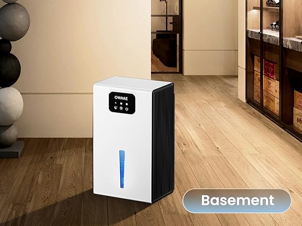 dehumidifier for basement
