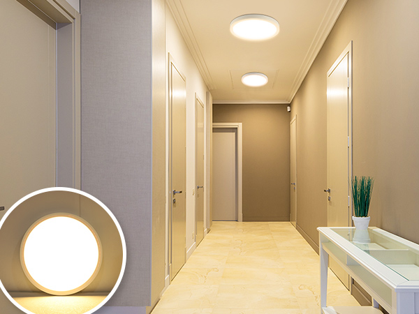 ceiling flush mount lights