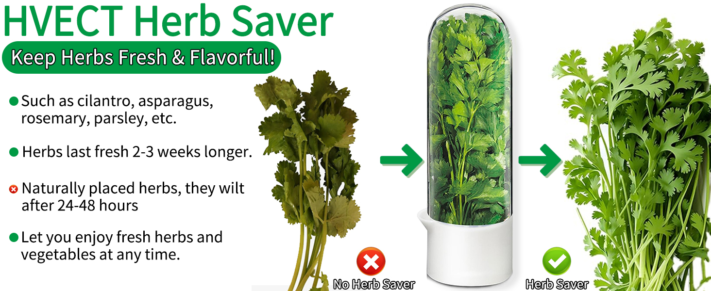 fresh herb keeper for refrigerator