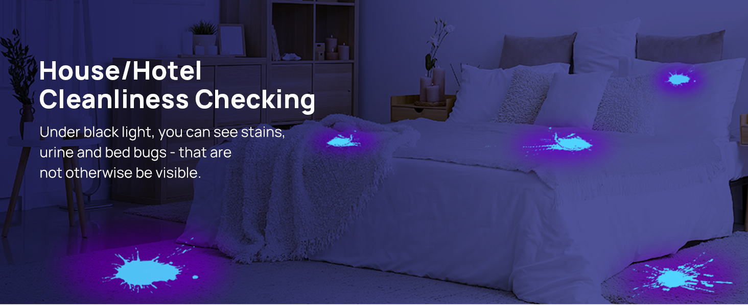 uv flashlight for bed bug