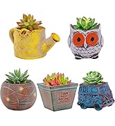 CHENP.HMC Planters Set of 5 Ceramic Succulent Planter Pot with Drainage,Planting Pot Flower Pots,...