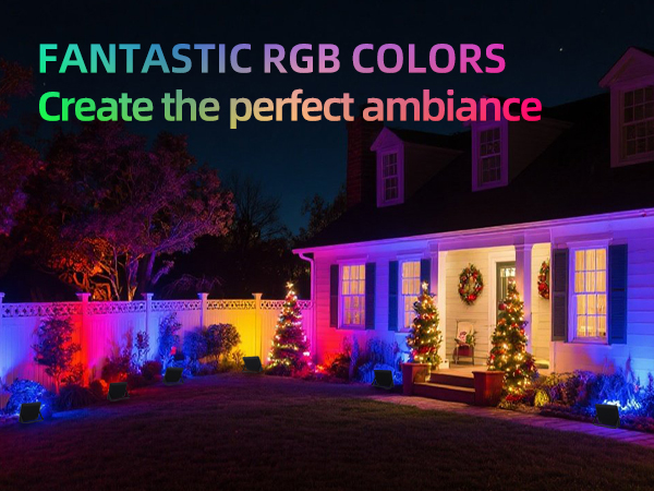 RGB flood lights create fantastic colors and perfect ambiance for outdoor decoration