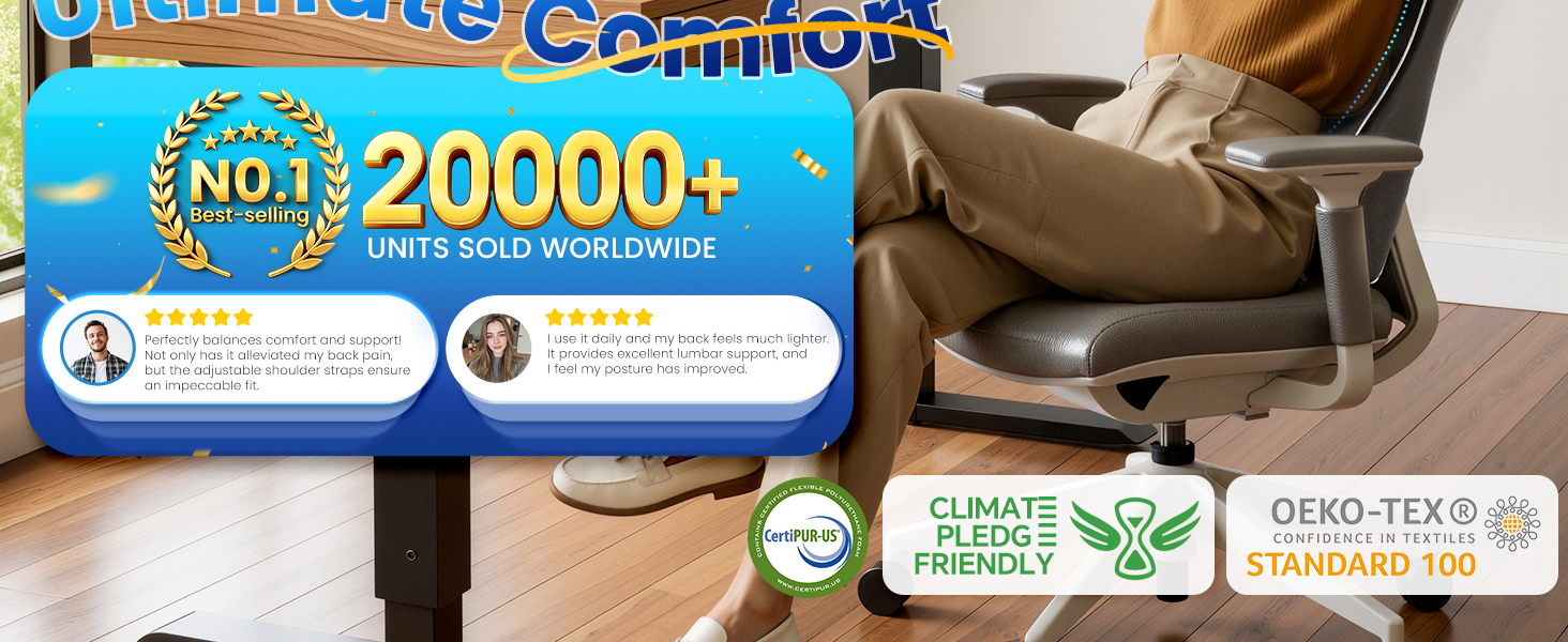 Lumbar Pillow with High Backrest