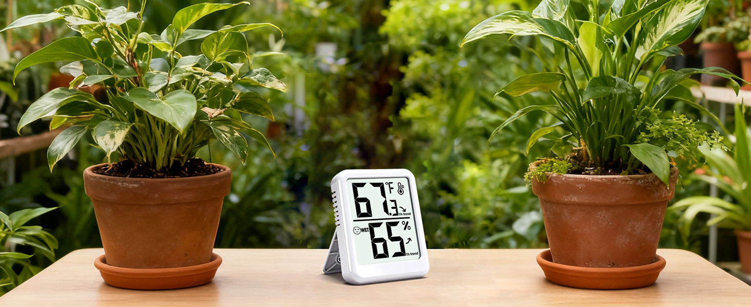 Digital Temperature and Humidity