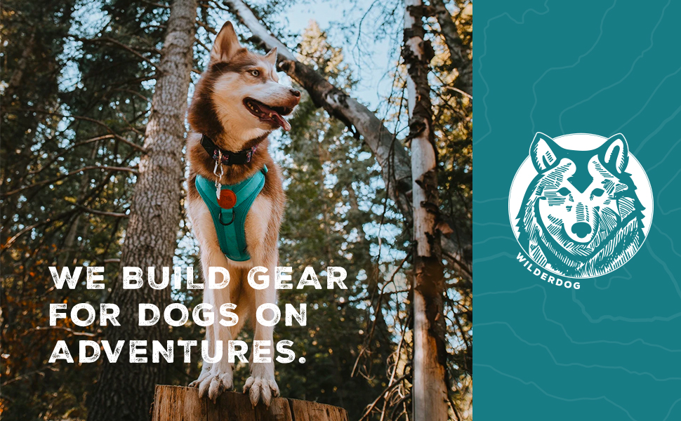 we build gear for dogs on adventures