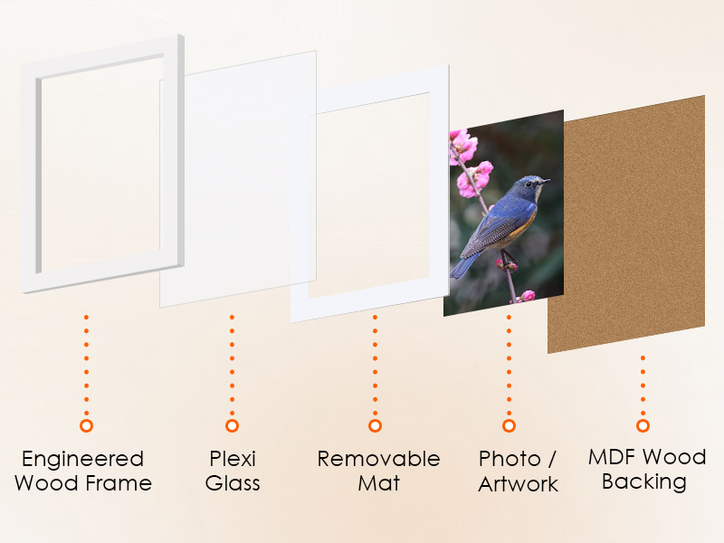 frames