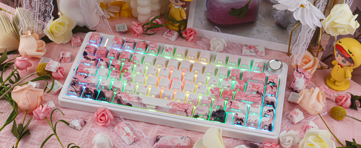 Pink Cherry Blossom Shine Through Keycaps