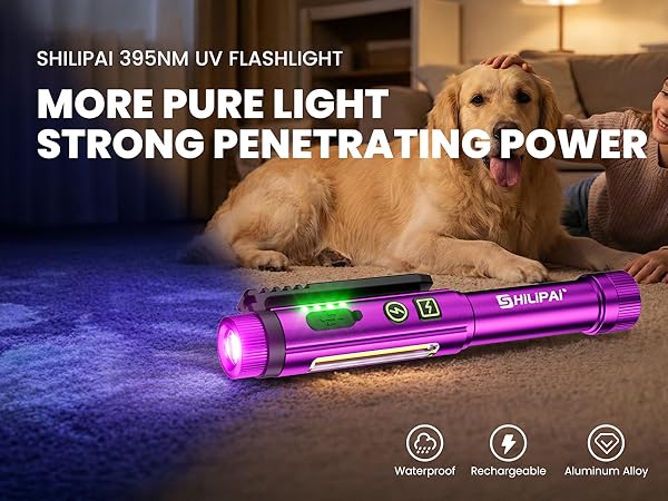 UV flashlight