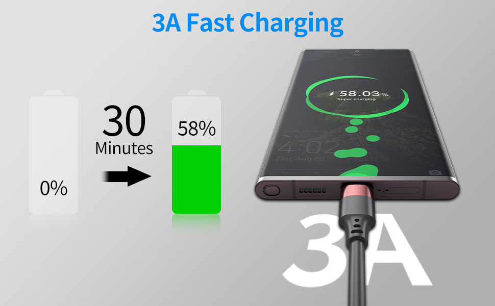 Fast Charging