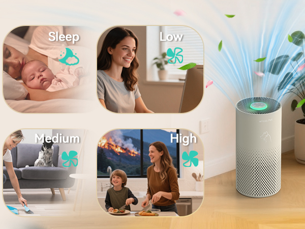 air purifier for home pets