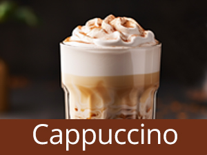 Paris Rhône 4-in-1 Milk Frother and Steamer