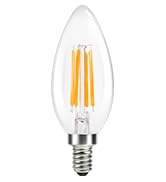 E12 Edison Bulb