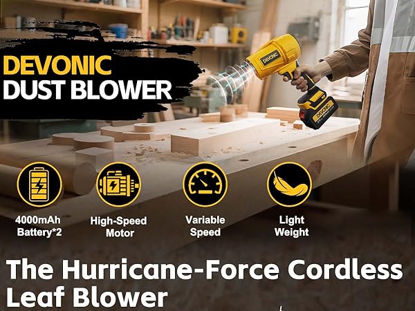 Leaf Blower Cordless