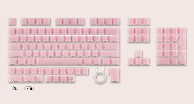 Lusterfly jelly kecaps set